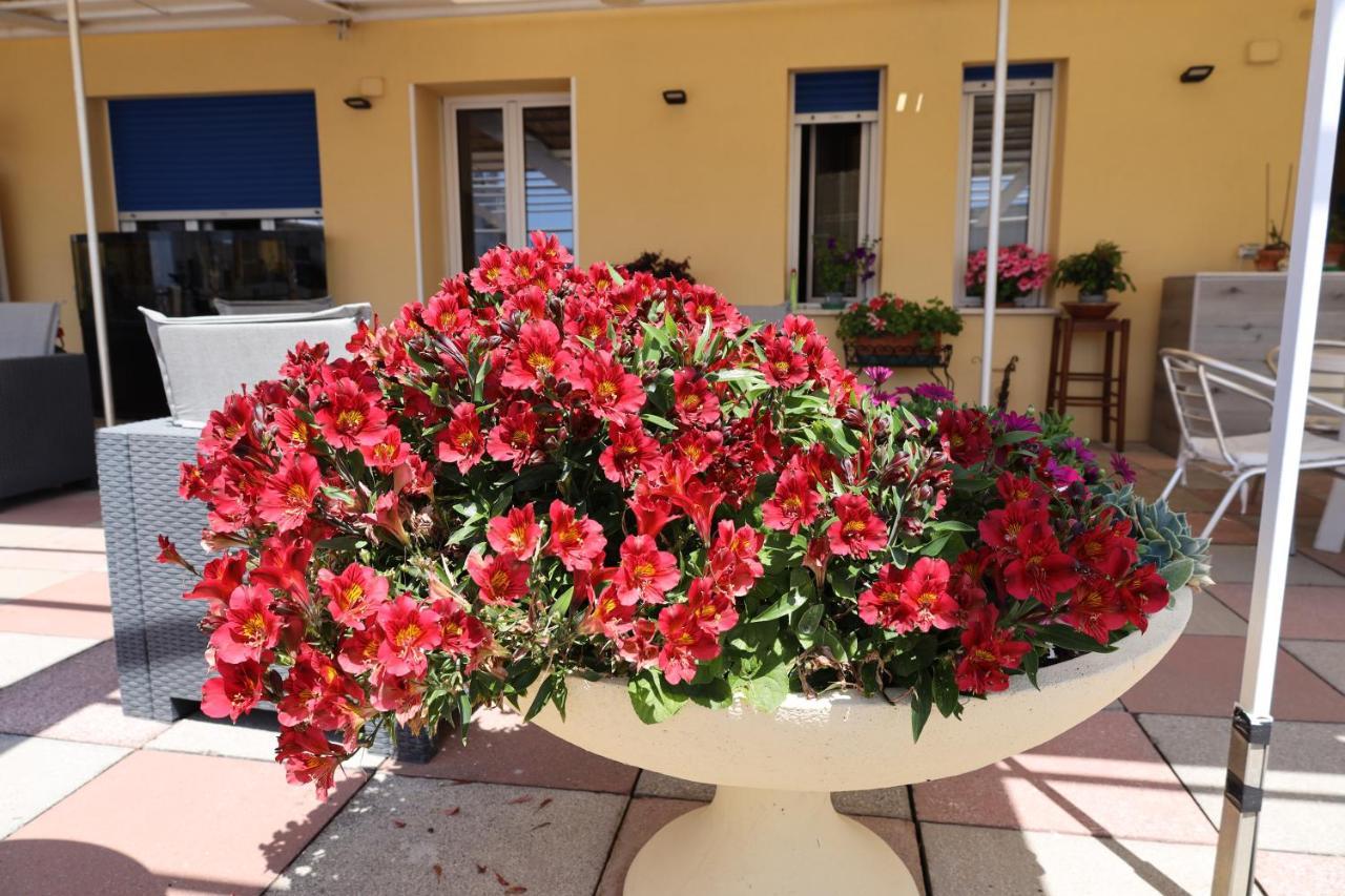 Albergo Stella Di Mare Lavagna Exterior photo
